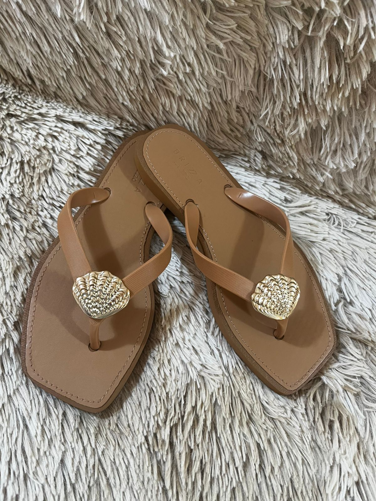 CHINELO DE DEDO RECOURO SQUARE CONCHA- AREZZO BRIZZA